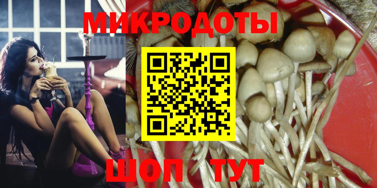 Псилоцибиновые грибы мицелий Киреевск
