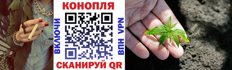 Шишки марихуана марихуана  гидра маркетплейс  Киреевск 