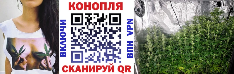 Марихуана конопля Киреевск